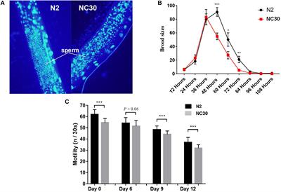 piRNAs Regulated by Mitochondria Variation Linked With Reproduction and Aging in Caenorhabditis elegans